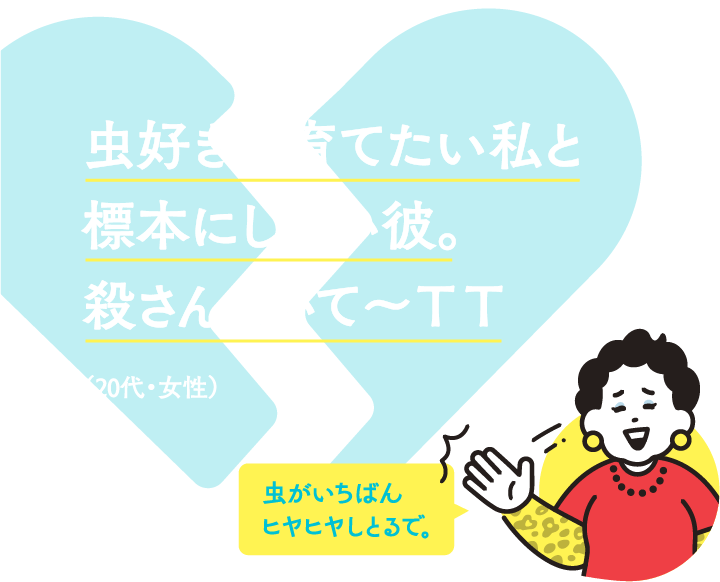 虫好きで育てたい私と標本にしたい彼。殺さんといて〜T T （20代・女性）虫がいちばんヒヤヒヤしとるで。