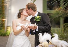婚活 挫折
